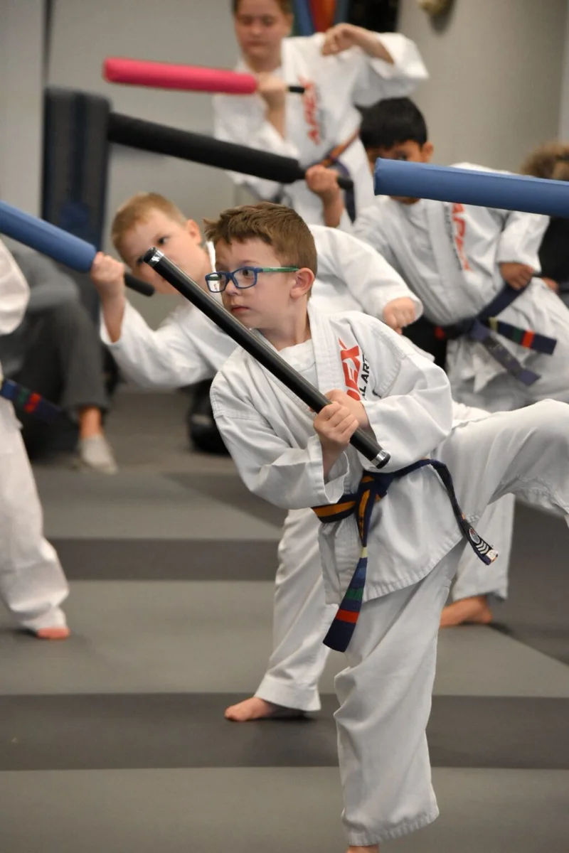 Apex Martial Arts academy photo