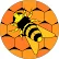 Apex Martial Arts academy photo
