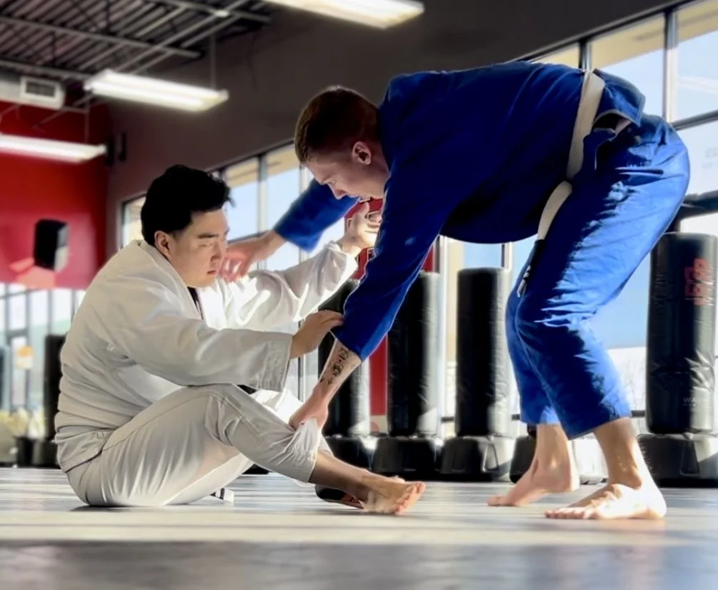 Bellevue Academy of Brazilian Jiu Jitsu visual