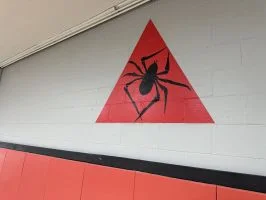 Lincoln Brazilian Jiu-Jitsu Center - Havelock academy photo