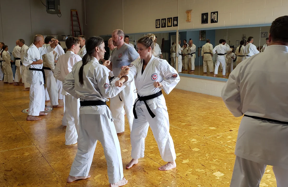 Lincoln Martial Arts Center academy photo