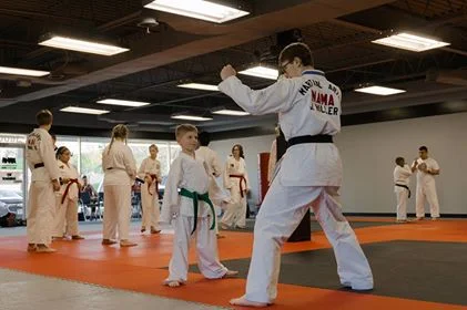 Nebraska Academy of Martial Arts academy photo