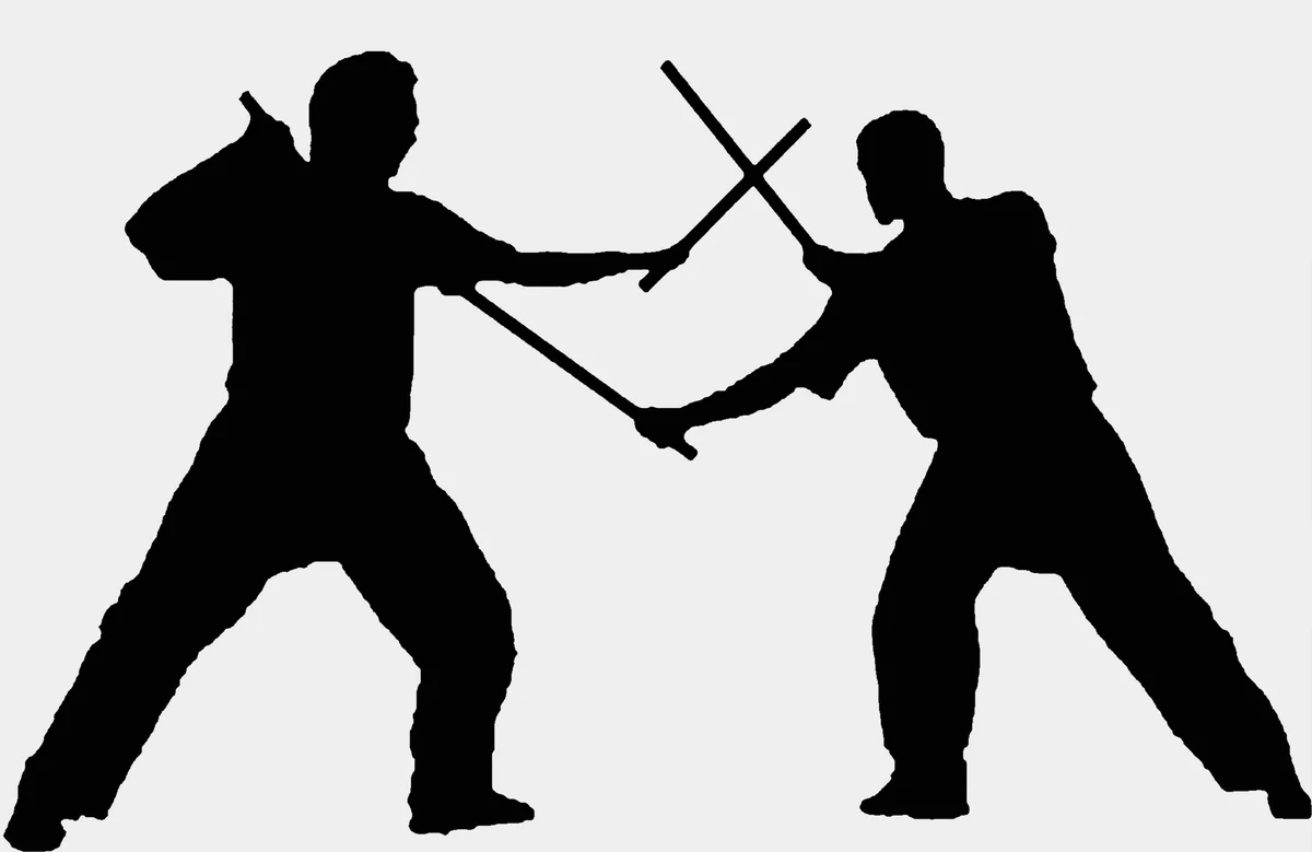 Sansu Martial Arts academy photo