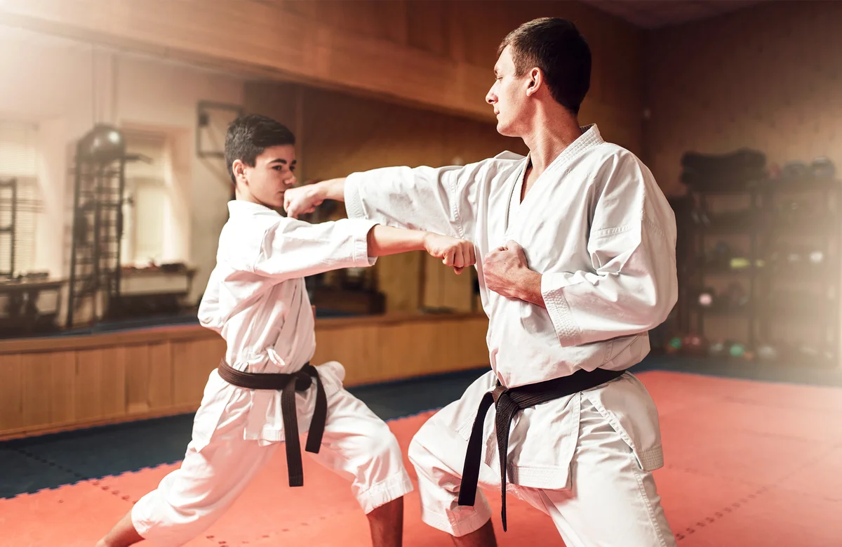Sansu Martial Arts academy photo