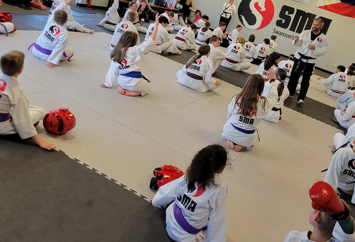 Swanson's Martial Arts academy photo