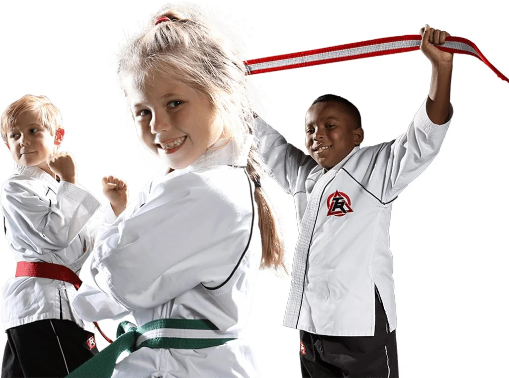 Tiger Rock Martial Arts Academy academy photo