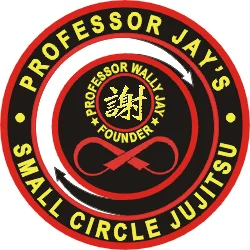 Checkmate Martial Arts academy photo