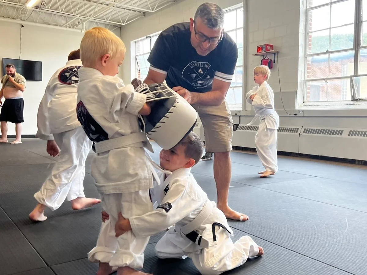 Elements MMA academy photo