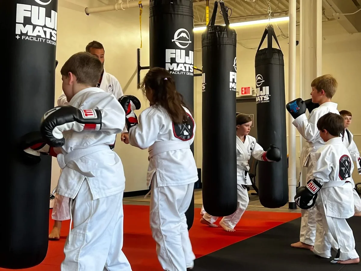 Elements MMA academy photo