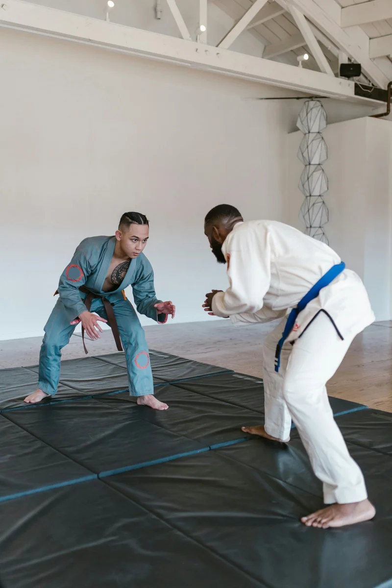Flow With The Go Jiu Jitsu academy photo