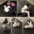 Granite State BJJ academy photo