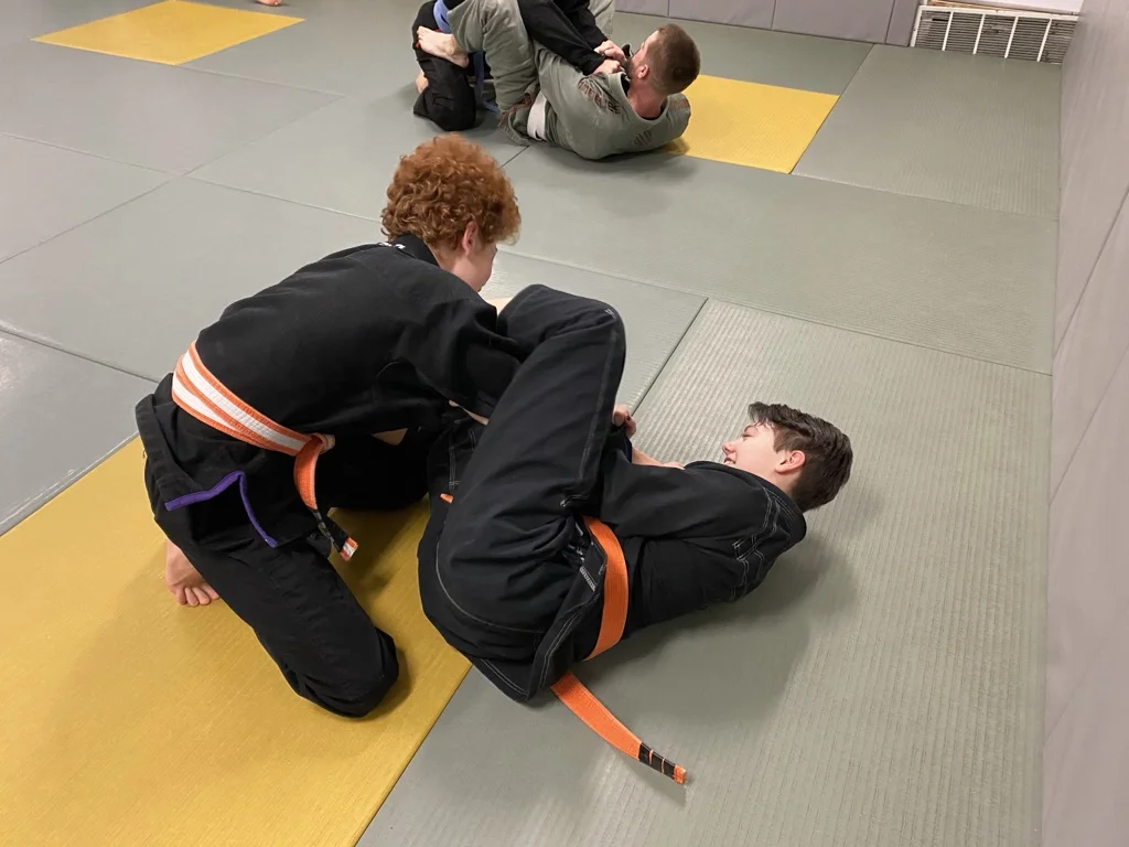 Monadnock Brazilian Jiu Jitsu academy logo