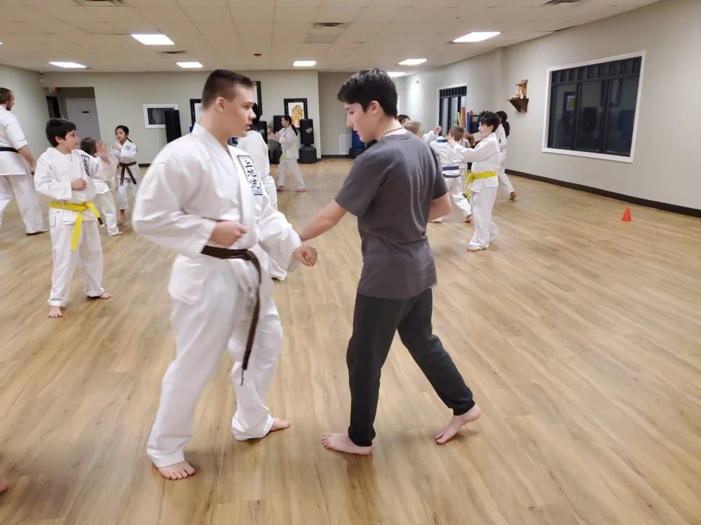 Neil Stone's Karate Academy academy photo