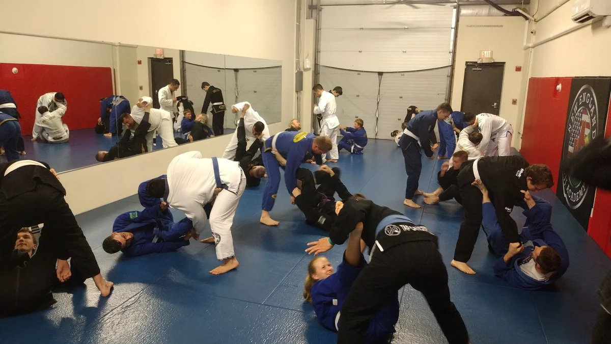 New England Brazilian Jiu-Jitsu Academy academy photo