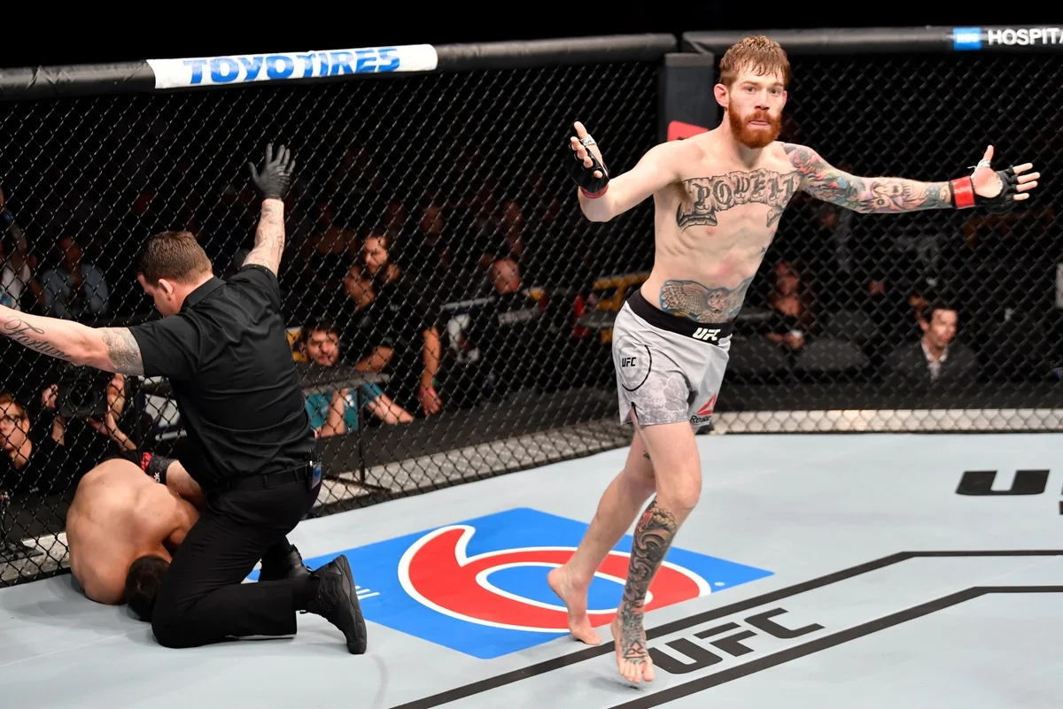 Nostos MMA academy photo