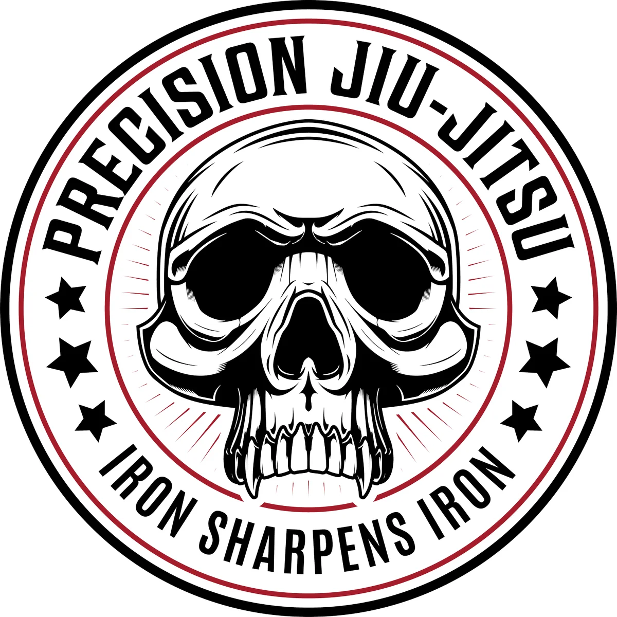 Precision Jiujitsu NH academy photo