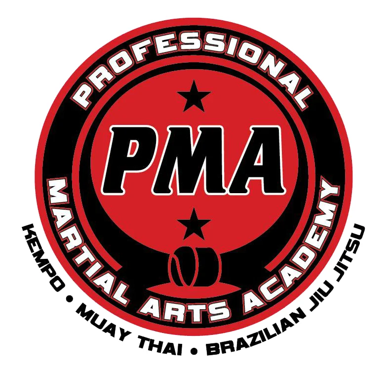 Professional Martial Arts Academy – Derry academy logo