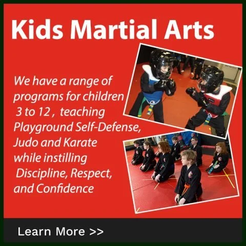 Seacoast Warriors / Seacoast Family Martial Arts academy photo