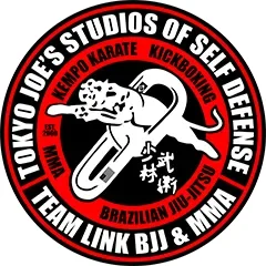 Tokyo Joe’s Studio of Self Defense/Team Link NH academy photo