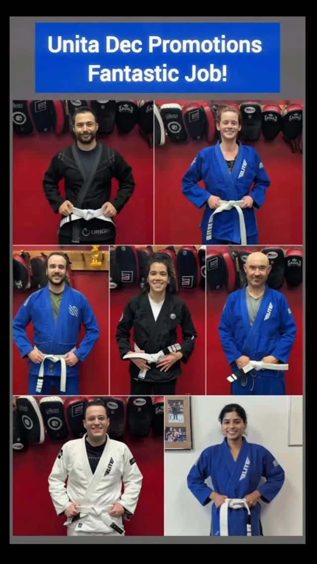 UNITA BJJ academy logo