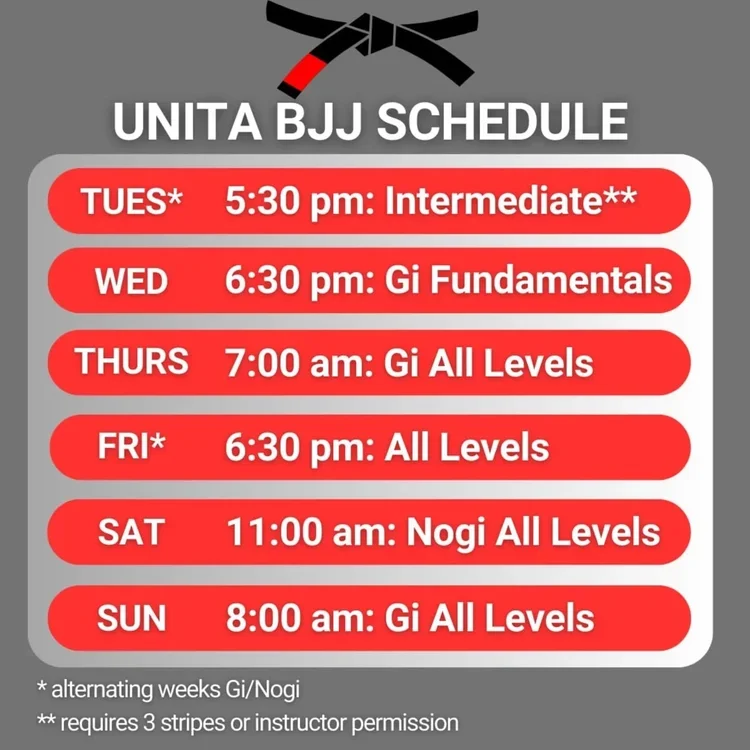 UNITA BJJ academy photo