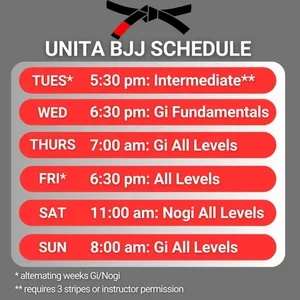 UNITA BJJ academy photo