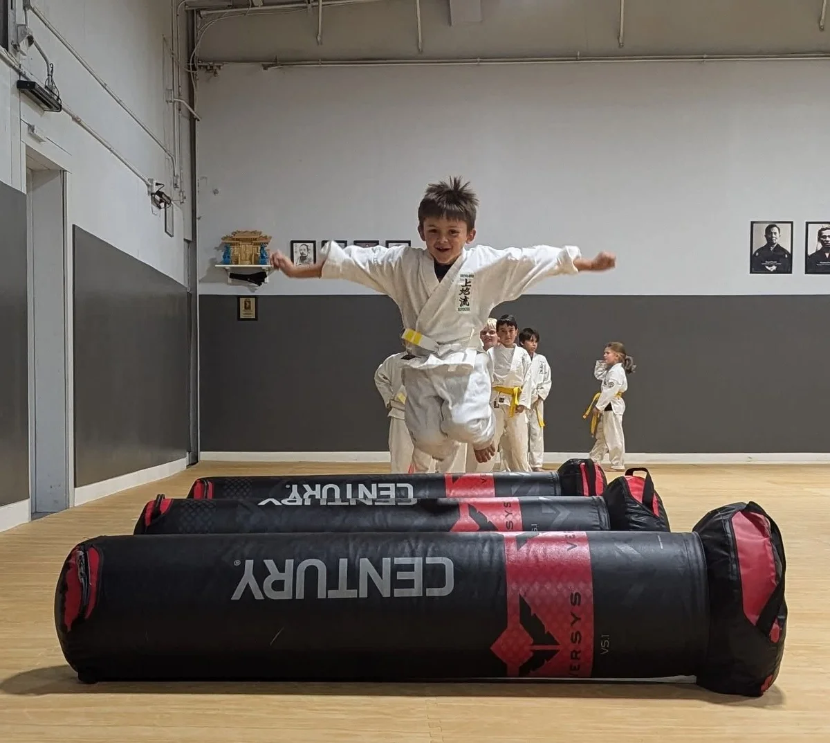 White Mountain Karate visual