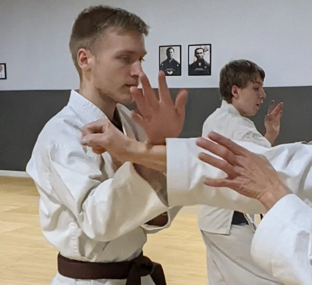White Mountain Karate academy photo