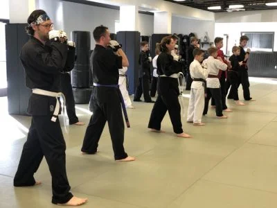 Action Karate Marlton academy logo