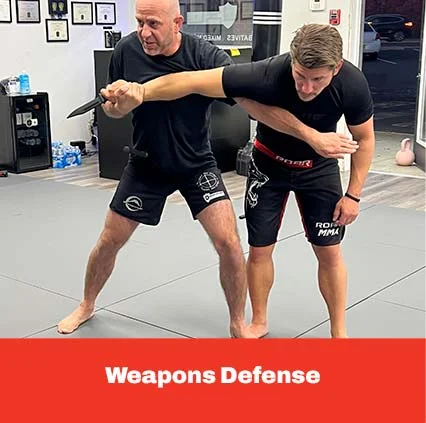 Ahlert Jiu Jitsu facility image