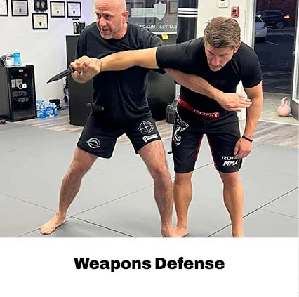Ahlert Jiu Jitsu facility image