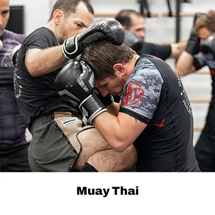 Ahlert Jiu Jitsu facility image