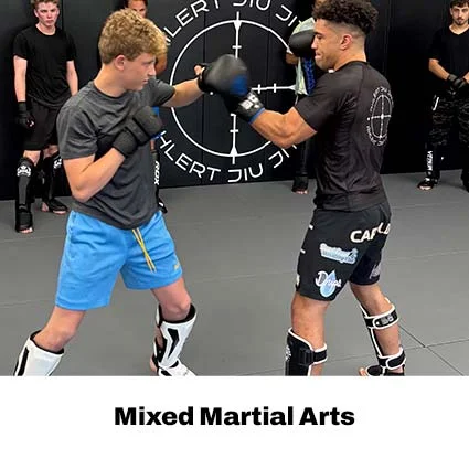 Ahlert Jiu Jitsu facility image