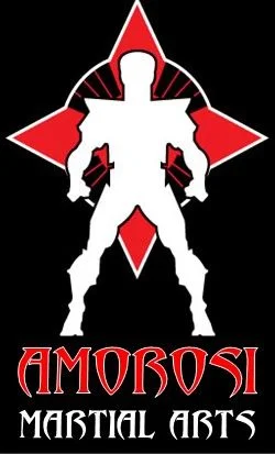 Amorosi Martial Arts facility image