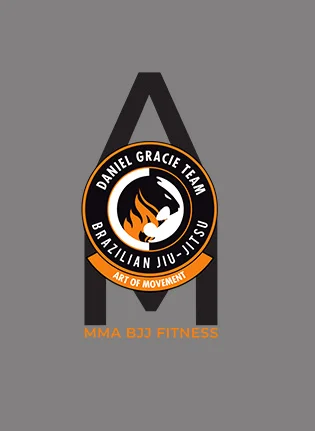 Art of Movement academy photo