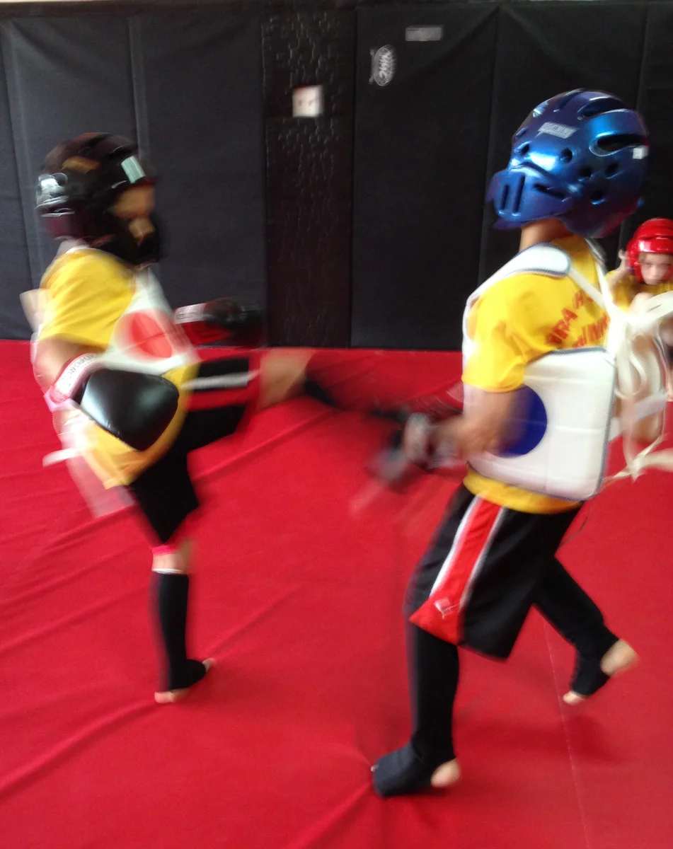Brach's MMA, Llc facility image
