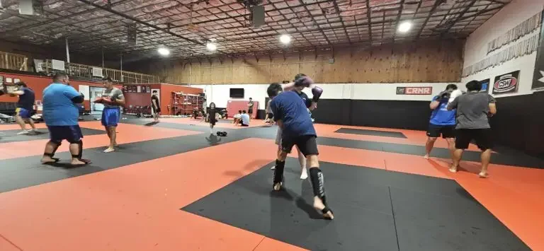 Brazen Martial Arts academy photo