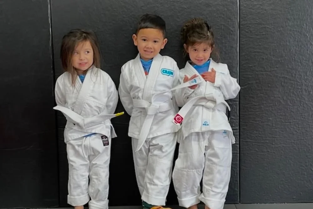 Camal & Cruz Judo & Jiu Jitsu academy photo