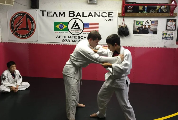 Echo Alpha Brazilian Jiu Jitsu academy photo