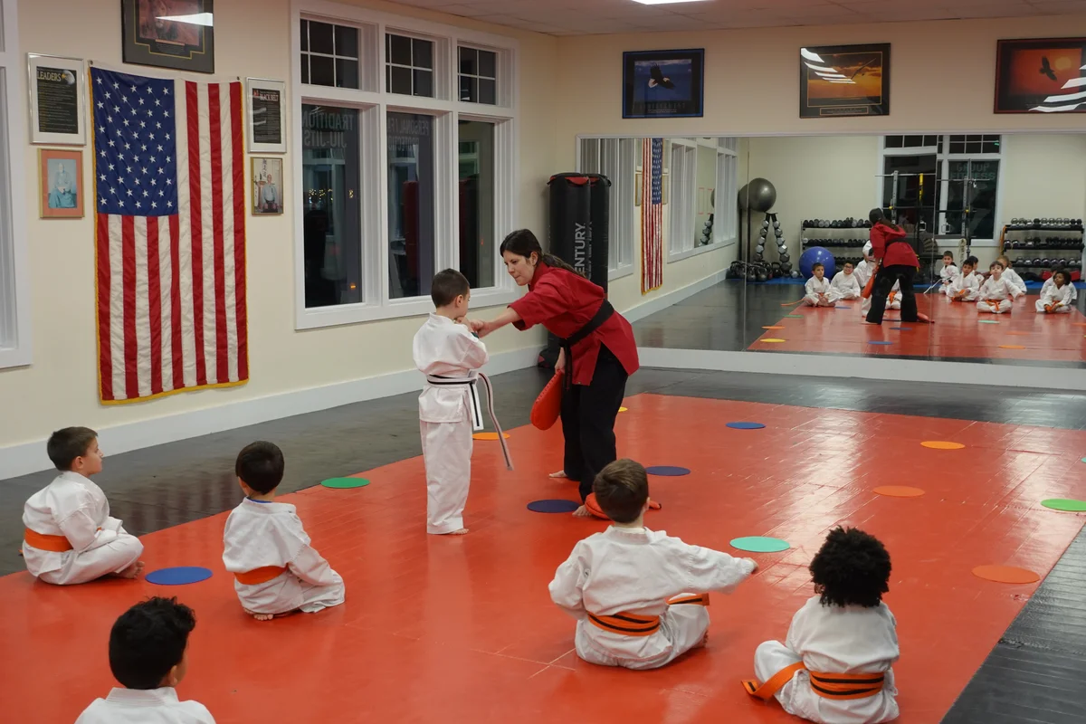 Faustini's Institute of Martial Arts and Fitness (Faustini's) academy photo