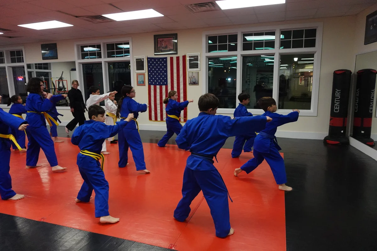 Faustini's Institute of Martial Arts and Fitness (Faustini's) academy photo