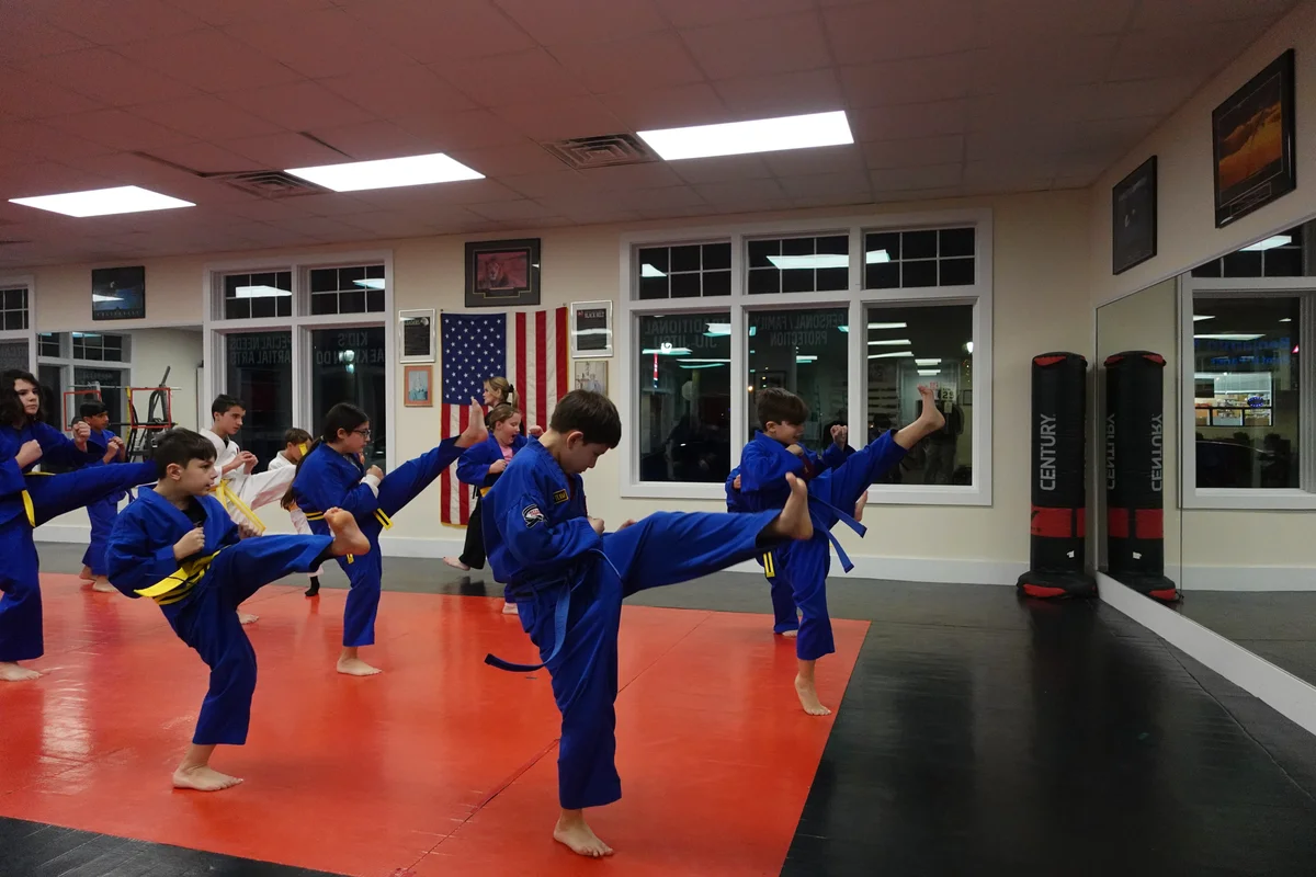 Faustini's Institute of Martial Arts and Fitness (Faustini's) academy photo