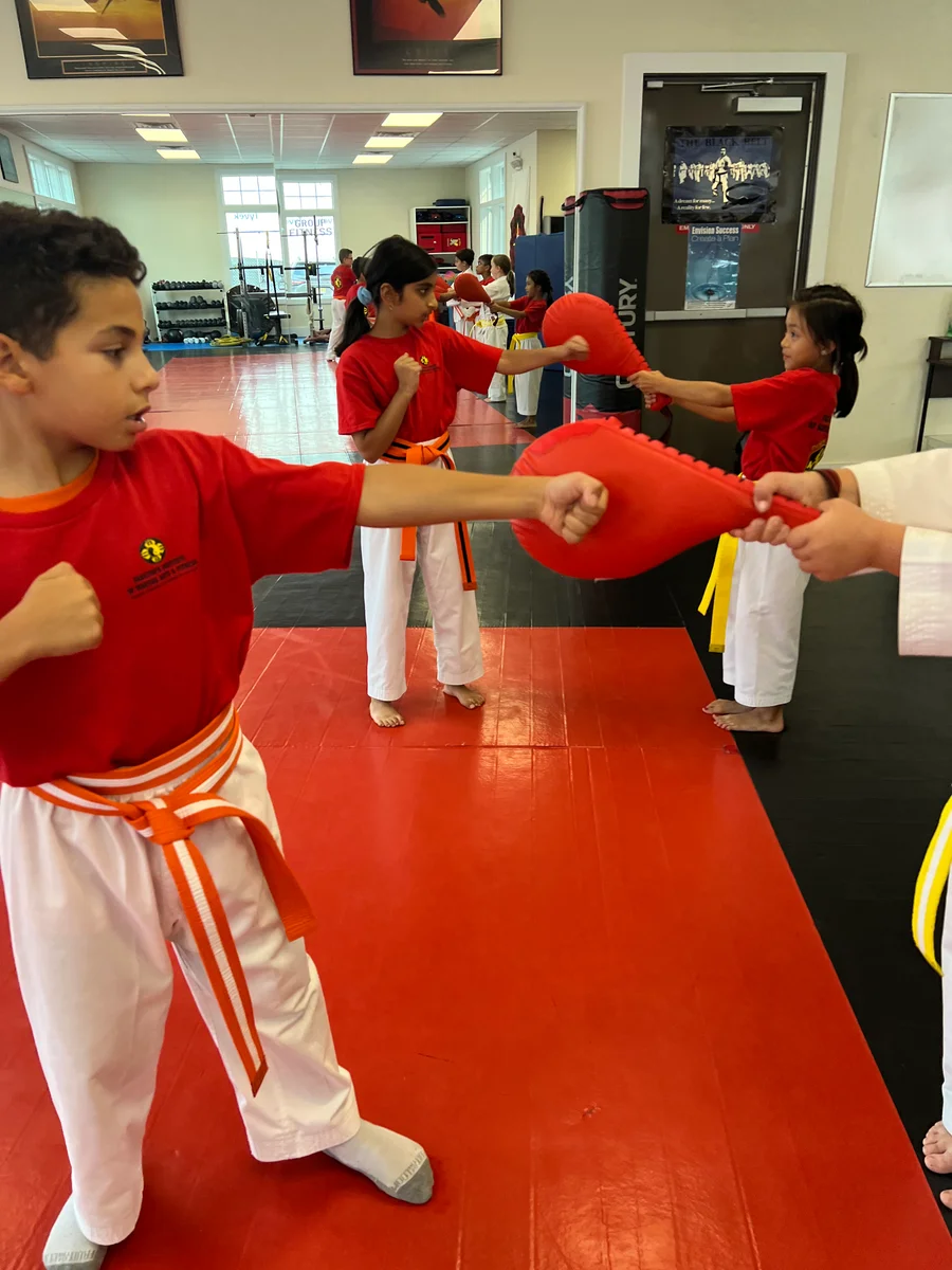 Faustini's Institute of Martial Arts and Fitness (Faustini's) academy photo