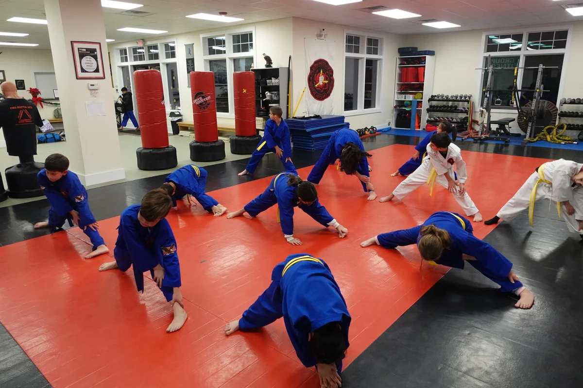 Faustini's Institute of Martial Arts and Fitness (Faustini's) academy photo