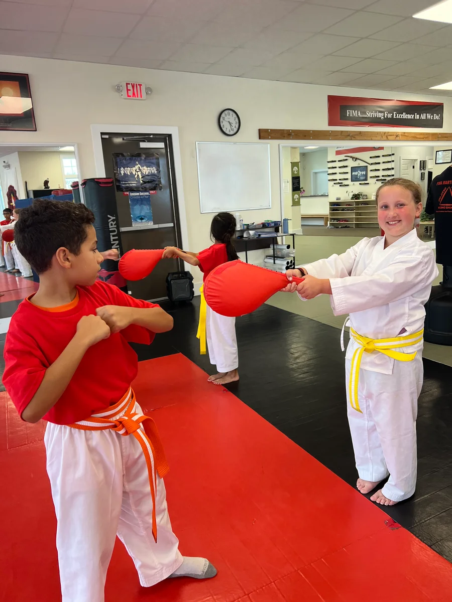 Faustini's Institute of Martial Arts and Fitness (Faustini's) academy photo