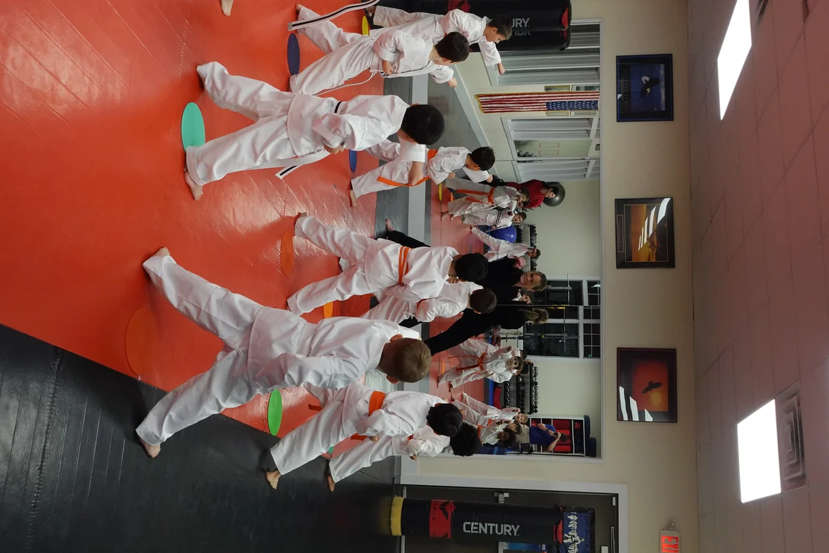 Faustini's Institute of Martial Arts and Fitness (Faustini's) academy photo