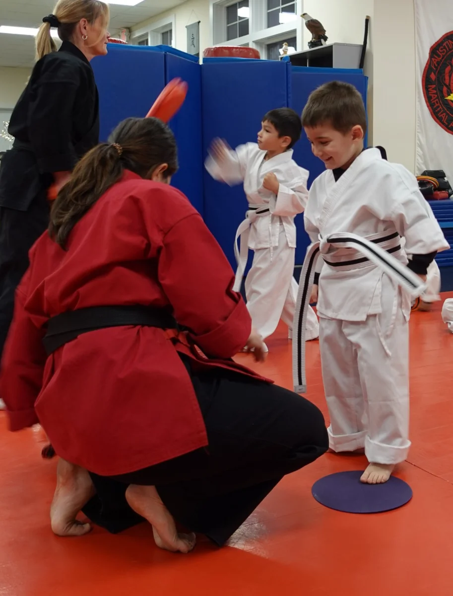 Faustini's Institute of Martial Arts and Fitness (Faustini's) academy photo