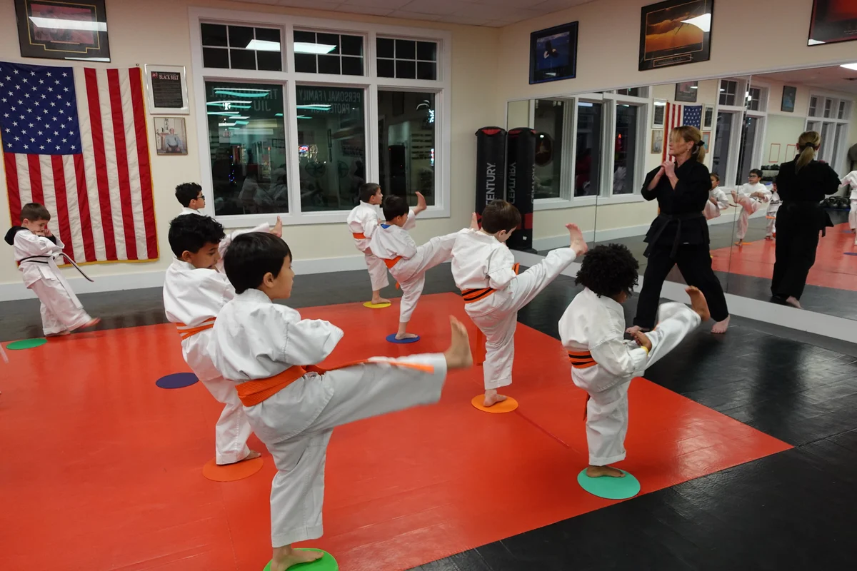 Faustini's Institute of Martial Arts and Fitness (Faustini's) academy photo