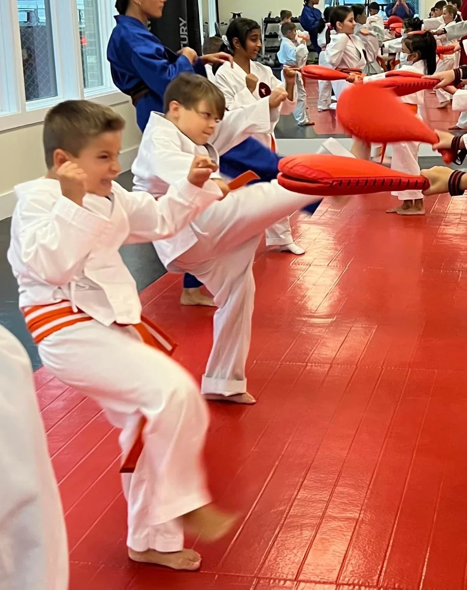 Faustini's Institute of Martial Arts and Fitness (Faustini's) academy photo