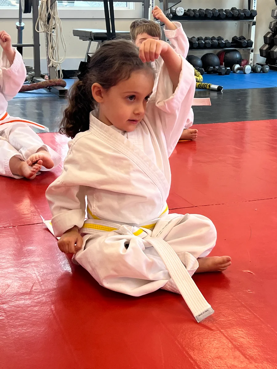 Faustini's Institute of Martial Arts and Fitness (Faustini's) academy photo